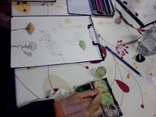 Drawing from Plant Life: Botanical Illustration Workshop