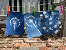 Cyanotype printing taster